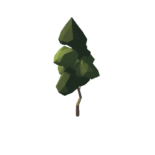 Tree Type4 05
